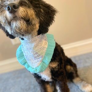 Love, Posie brand pet bandana (dog or cat) available in multiple sizes